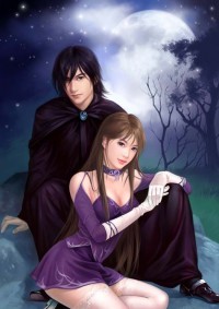 全能王婿